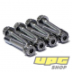 Suzuki Hayabusa GSX1300 - ARP Rod Bolts 