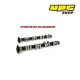 BMW E36 318 IS 16v - Piper Cams Fast Road Camshafts