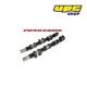 Ford 1.25 / 1.4 / 1.6 16v - Piper Cams Ultimate Road Camshafts