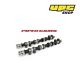 Peugeot 206 2.0 16v GTI - Piper Cams Ultimate Road Camshafts