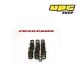 Aston Martin DB5 / DB6 - Piper Cams Valve Springs