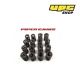 Honda Vtec 1.6 16V - Piper Cams Valve Springs 