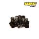 Peugeot 206 GTI - Piper Cams Valve Springs (solid followers)