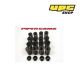 Renault Megan / Clio 16V F7R - Piper Cams Valve Springs 