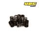 Opel Corsa / Tigra 1.4/1.6 16v / Corsa 16v / Corsa B / Tigra 1.4/1.6 16v 1993 - 2000 - Piper Cams Valve Springs