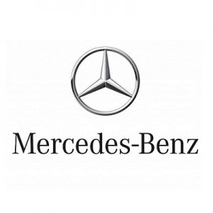 Chip for Mercedes Class G