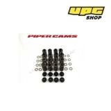 Citroen Saxo VTS 1.6 16v - Piper Cams Valve Springs set