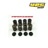 Ford Xflow - Piper Cams Valve Springs 