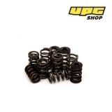 Mitsubishi Evo 10 - Piper Cams Valve Springs